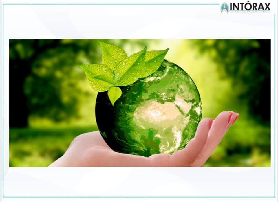 DÍA MUNDIAL DEL MEDIO AMBIENTE “CONTAMINACIÓN DE LA CALIDAD DEL AIRE Y SU IMPACTO EN LA SALUD” – “A TODO PULMÓN “