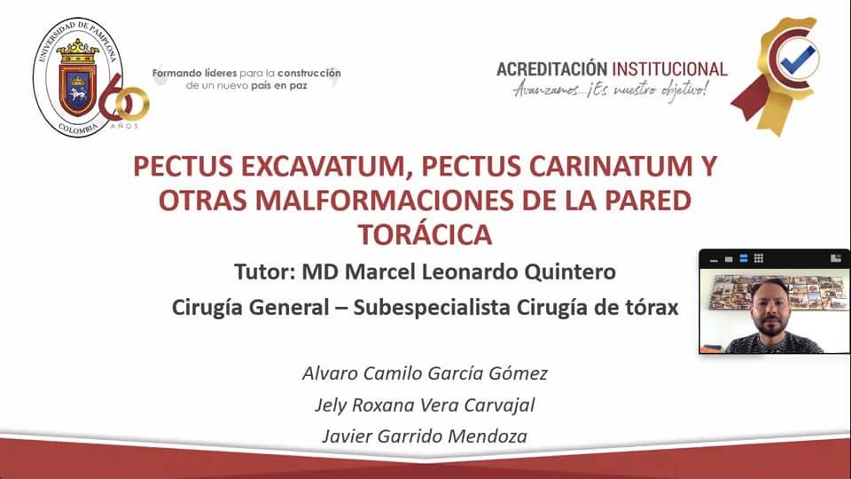 SEMINARIO:”DEFORMIDADES CONGÉNITAS DE PARED TORÁCICA” Estudiantes VIII Semestre UPA. 13/10/2020