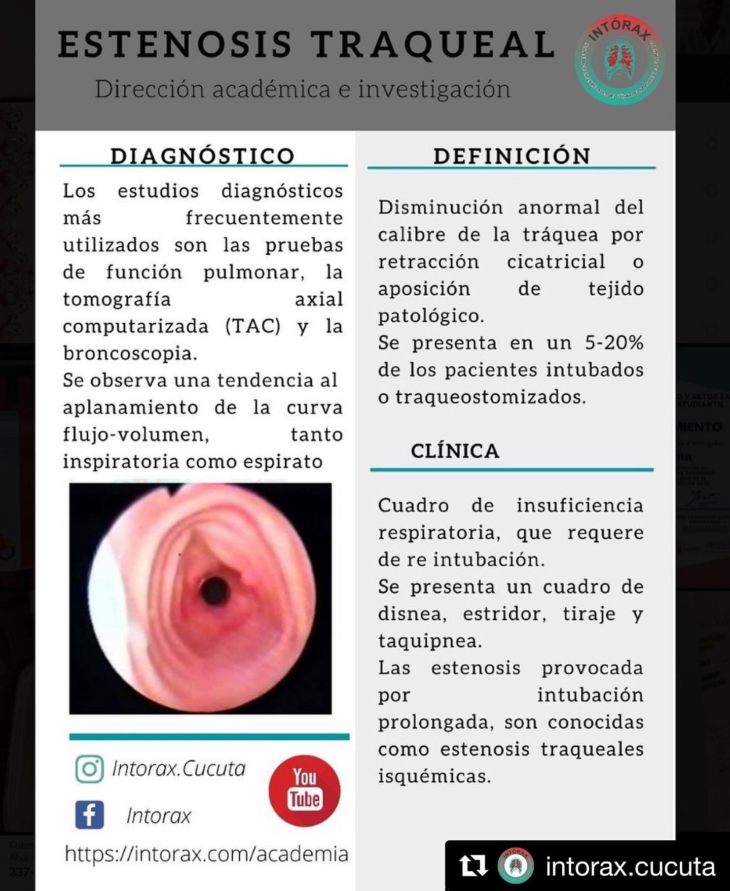 Píldora 💊 académica de la semana, más información en www.intorax.com / academia #intoraxesdesarrollocientífico #intoraxacademico @intorax.cucuta