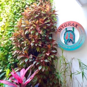“…SER…” CIRUGÍA DEL TÓRAX Y MEDIO AMBIENTE @lidamariaq #medioambiente #aire #vida #contaminacion #medicina #cirugia #toracoscopia #VATS #cirugiadeltorax #cirugiadetorax #marcelquintero #intorax #huem #csj #csa #cucuta #nortedesantander #turismomedico #cucuta #cucutaeslomio #colombia #cucutaescirugiadeltorax #cucutaescirugiadetorax #Vatscucuta @intorax.cucuta