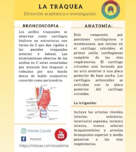 Píldora <img height="16" width="16" alt="💊" src="https://static.xx.fbcdn.net/images/emoji.php/v9/tf5/1/16/1f48a.png"> académica de la semana <img height="16" width="16" alt="📚" src="https://static.xx.fbcdn.net/images/emoji.php/v9/t49/1/16/1f4da.png"> La presentación completa y otros resúmenes de tema en <a href="http://www.intorax.com/?fbclid=IwAR1bZeyL22G4OlprHUWPEC7XC9gRmk39ZGPChOW2HSMAykCPUkYAW3Ojfrg" rel="noreferrer noopener" target="_blank">www.intorax.com</a> / academia. <a href="https://www.facebook.com/hashtag/intoraxesdesarrollocient%C3%ADfico?__eep__=6&__cft__[0]=AZWEt_mjsOcAsUmyBrLE0dh4Ymt62KoE61EH59f_teywjoHpyaQ4R2WijXRzFUOOIwgCAIm4nUTSl_PcNFelY8_nPO9agISGPWfw9u1AJJtfpKz6kw15-qmA20FoTwmh3vwk1_5r_yl75JLt02d_sYKz&__tn__=*NK-R">#intoraxesdesarrollocientífico</a><a href="https://www.facebook.com/hashtag/intoraxacademico?__eep__=6&__cft__[0]=AZWEt_mjsOcAsUmyBrLE0dh4Ymt62KoE61EH59f_teywjoHpyaQ4R2WijXRzFUOOIwgCAIm4nUTSl_PcNFelY8_nPO9agISGPWfw9u1AJJtfpKz6kw15-qmA20FoTwmh3vwk1_5r_yl75JLt02d_sYKz&__tn__=*NK-R">#intoraxacademico</a> @intorax.cucuta