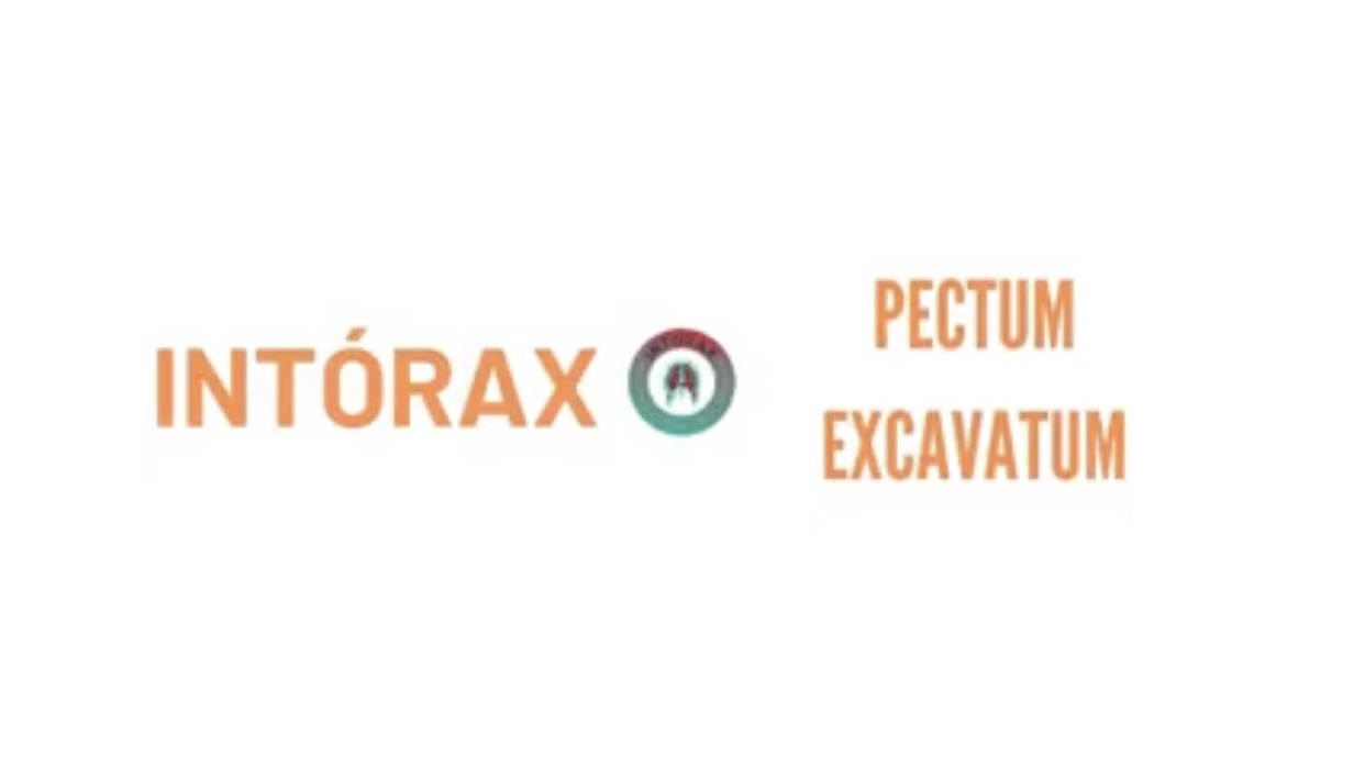 Píldora 💊 académica de la semana; clases y conferencias completas disponibles en www.intorax.com / academia. #intoraxesdesarrollocientífico #intoraxacademico @intorax.cucuta #intorax+